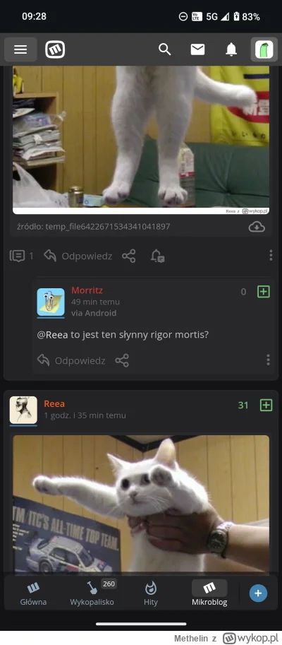 Methelin - Zepsuło się.