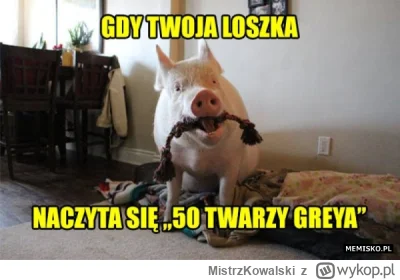 MistrzKowalski - @Boss477: chyba takiej