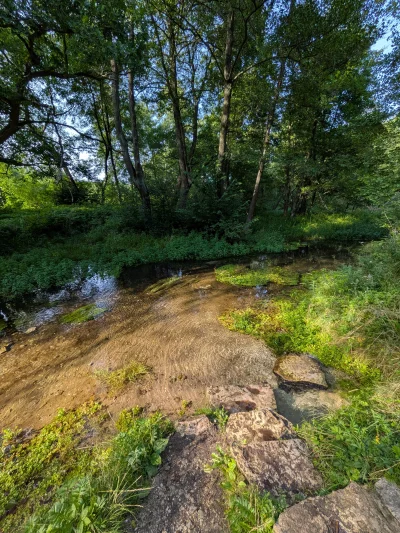 Jurajski_Wedrowiec - Lodowatej wody zaczerpnąłem że źródełka, cholernie czysta i deli...