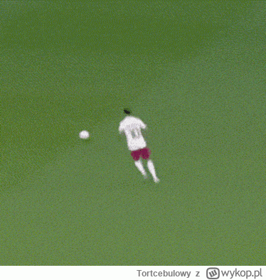 Tortcebulowy - Dawać Krychowiaka
#mecz