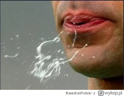 KwadratPolski - @mariusz-madejczyk: