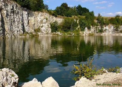 RybikSolny - Jak wyrobię się ze wszystkim do wieczora to wypożyczam rower miejski za ...