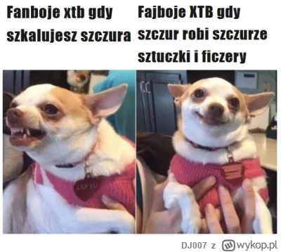 DJ007 - #gielda #xtb