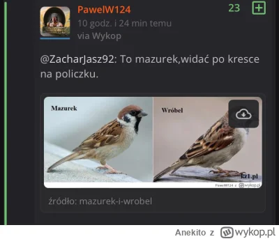 Anekito - @PawelW124: dzięki, teraz wiem jak odróżnić wróbla od mazurka dzięki kresce...