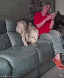 Umeraczyk - Mamo patrz fikołek