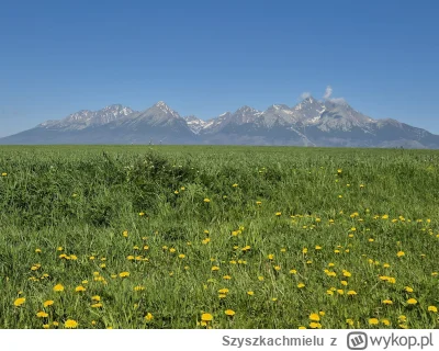 Szyszkachmielu - 106 745 + 82 + 143 + 82 + 8 + 7 + 94 + 6 + 8 + 22 + 7 + 8 + 7 + 8 = ...