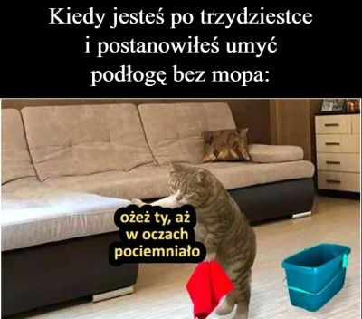 b.....S - Kurła, znowu sprzątanie... ( ͡° ʖ̯ ͡°)

#wykop30plus #heheszki #humorobrazk...