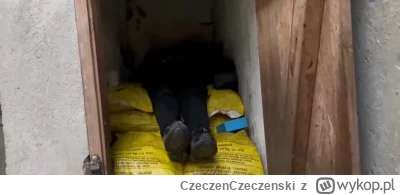 CzeczenCzeczenski - Ciało Menelaosa III wystawione na widok publiczny w komnacie Węgl...