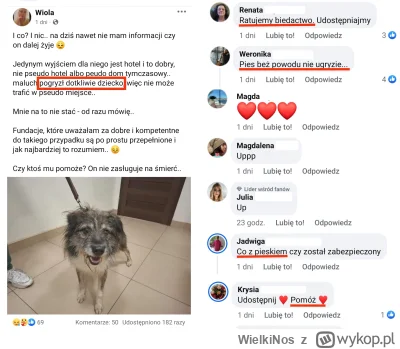 WielkiNos - @MazurskiSmak a tutaj efekty takiego wyprania. Pies dotkliwie pogryzł dzi...