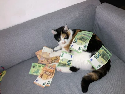 xiv7 - Nauczyłem kota szukać pieniędzy jak se wychodzi przez balkon na wycieczki, prz...