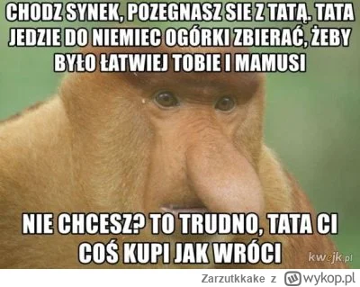 Zarzutkkake - #feels #emigracja