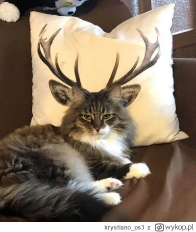 krystiano_ps3 - #smiesznekotki