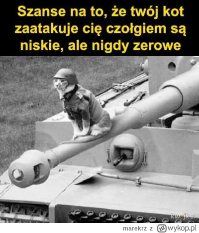 marekrz - #koty #heheszki