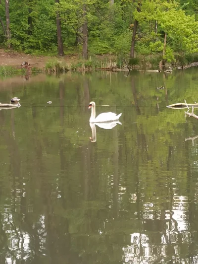 picasssss1 - Takich postów było multum więc jak nie chcesz to nie czytaj. 
Od kilku m...