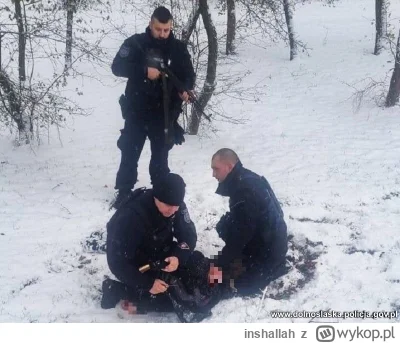 inshallah - Chyba jednak czarnoprochowiec. 
Także ustawa o broni i amunicji dobranoc,...