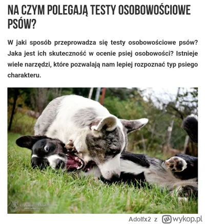 Adolfx2 - #danielmagical Teraz ciot powinien zrobić test