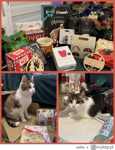 akNe - Ale mnie w tym roku kopnął zaszczyt! ( ͡° ͜ʖ ͡°)

Przyznam, że od początku wyk...