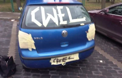 lvbie_placki - moje auto
#przegryw