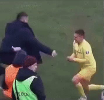 wfyokyga - Brawa dla stewarda, chciał go uchronić ale on młody i gupi