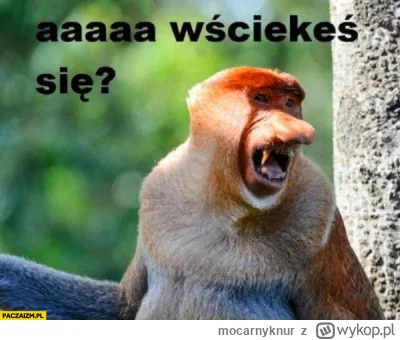 mocarnyknur - @folwgnag94