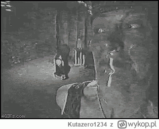 Kutazero1234 - @bizzi0801: Daniel i Nikola już niedługo