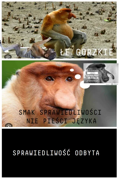 ZuzkazBornholmu - #konkursnanajbardziejgownianymemznosaczem