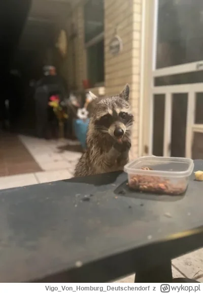 VigoVonHomburg_Deutschendorf - Dokarmianie
#szopeknadzis