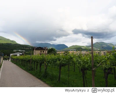 WyuArtykyu - 226 976 + 25 = 227 001

Tęczowe paski xD
Dolomity
#włochy
#rower #gra...