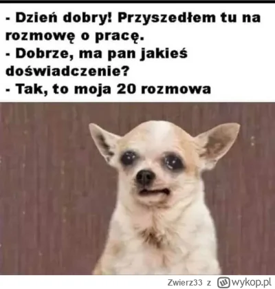 Zwierz33 - #przegryw