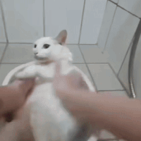 frugASS - IDE SE LEŻEĆ W WANNIE