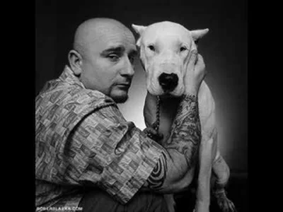 kto-wie-ten-wie32 - @ElMurano: To ja wiem, mój twitter miał z 300 follow i oczywiście...