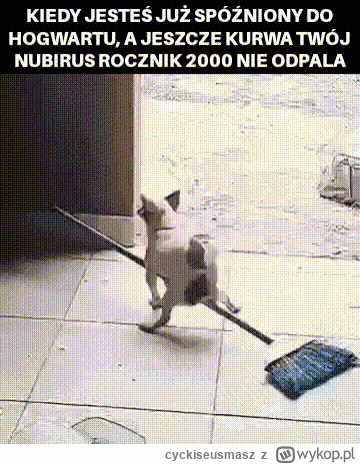 cyckiseusmasz - #harrypotter #heheszki