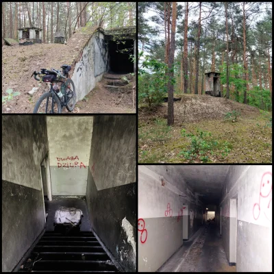 SnikerS89 - >lasy między Białobrzegami i Beniaminowem, tam bunkry