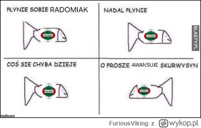 FuriousViking - @NanuszJowak91: