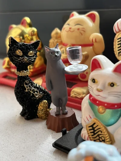 Szpeju - Jedna z moich ulubionych kici przywiezionych z Japonii ( ͡º ͜ʖ͡º) #smiesznyk...