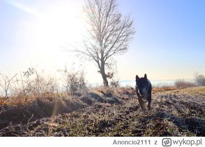 Anoncio2111 - Dzisiejszego mroźnego poranka Staruszek postanowił wyjść na spacer... └...