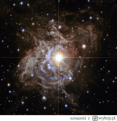 sznaps82 - RS Puppis, jedna z najjaśniejszych cefeid. Źródło: NASA, ESA, Hubble Herit...