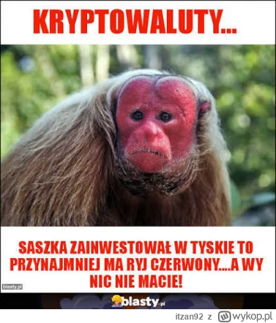 itzan92 - Nie było mnie dawno na krypto bo mnie zmiotło na lewarze ale znów się przym...