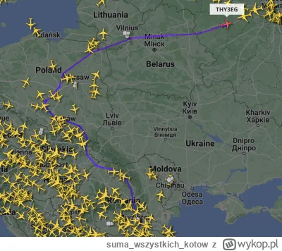 sumawszystkichkotow - A tak fruwają sobie Turkish Airlines na linii Turcja - Rosja.