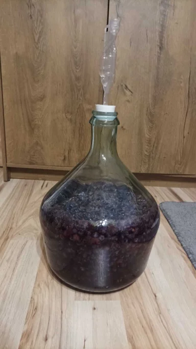 HoroLive - Burzliwa fermentacja. Wyjdzie ok 7l trunku. Dużo pójdzie do dań typu raguu...