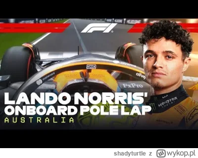 shadyturtle - #f1 chryste panie, brzmi to jakby dzika kuna oddawała się rozkoszom w a...