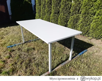 Wyscigowaswinia - @death070: robię i sprzedaję takie :)