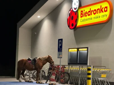 timek1119 - Psiarze narzekają na psy przywiązane przed wejściem, to co na to powiedzą...