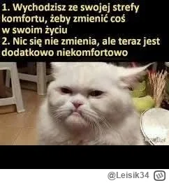 Leisik34 - #heheszki #humorobrazkowy #koty #przegryw #przemyslenia #takaprawda