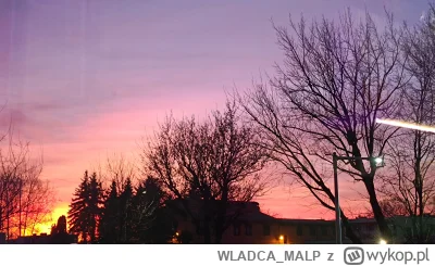 WLADCA_MALP - Nosz k--w...