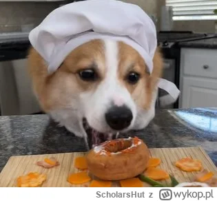 S.....t - Oddaj mnie to bułku

#heheszki #pieseczkizprzypadku #pies #smiesznypiesek