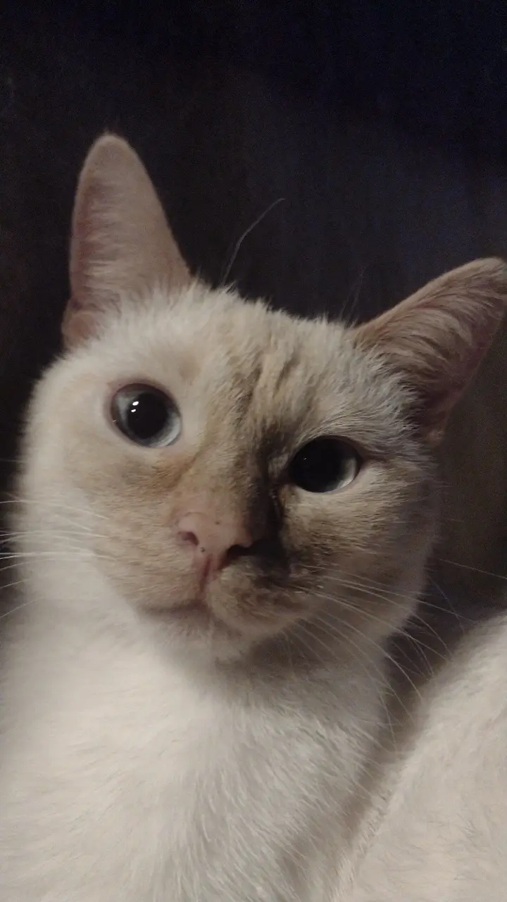 s.....g - @Kantorwymianymysliiwrazen  2 lata