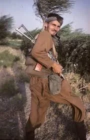 j.....i - > to stary komuch

@Gozd: no żeby sikorskiego od komuchów wyzywać to napraw...