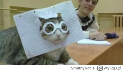 SmutnyKot - #dziwnekotki
