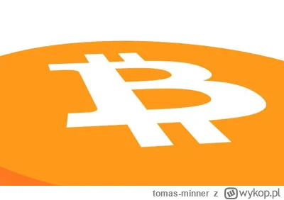 tomas-minner - Cathie Wood: Szanse Bitcoina na osiągnięcie 1,5 miliona dolarów wzrosł...